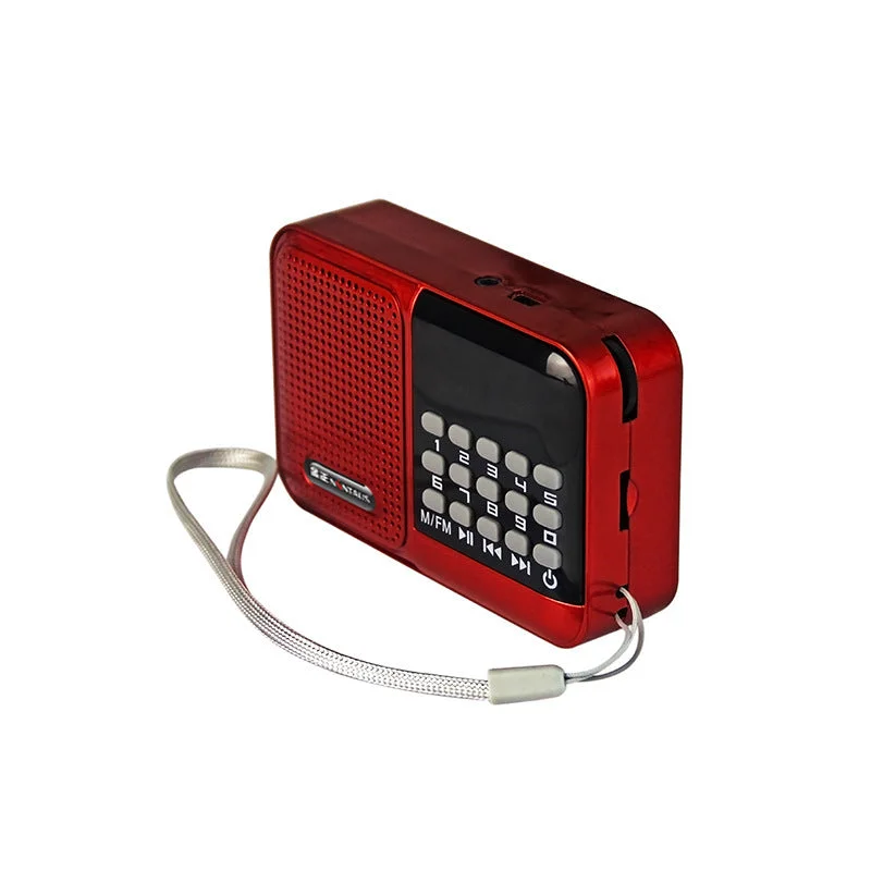 allesxl-12390119