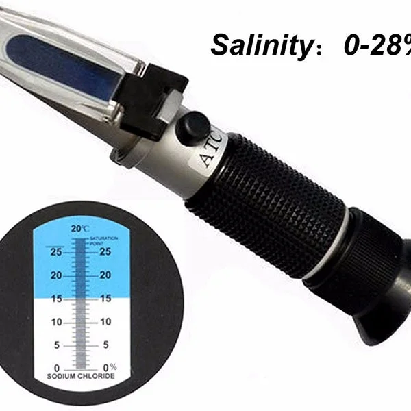 allesxl-12865230