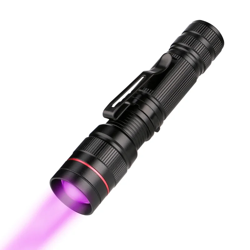 allesxl-13095373