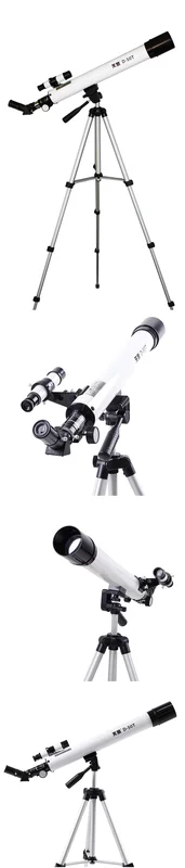 allesxl-22858318