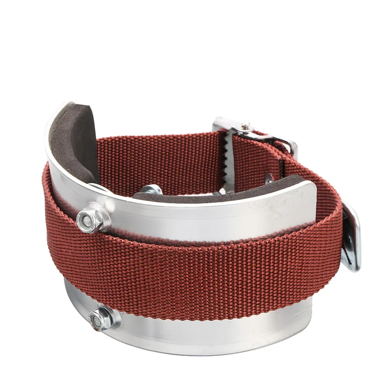 allesxl-22994672
