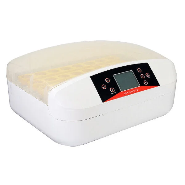 allesxl-32814911