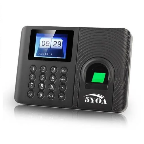allesxl2531085
