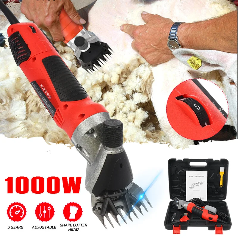 allesxl2584460
