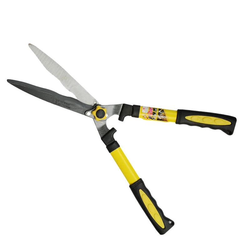 allesxl2964852