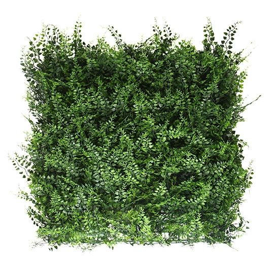 deboet2714483