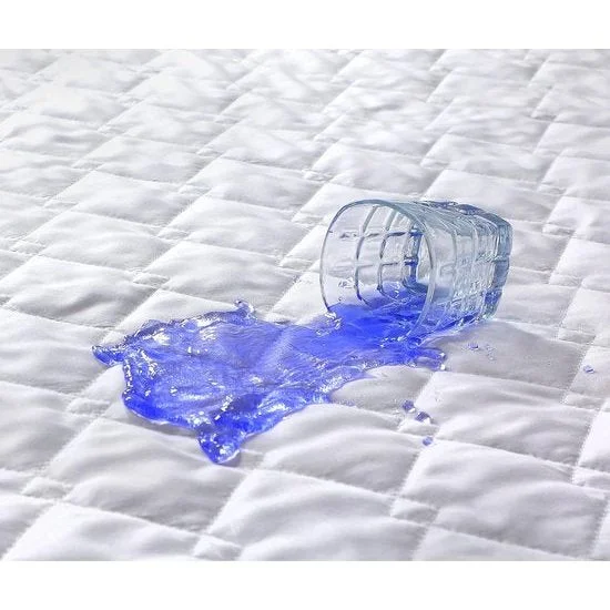 ribbi3162748