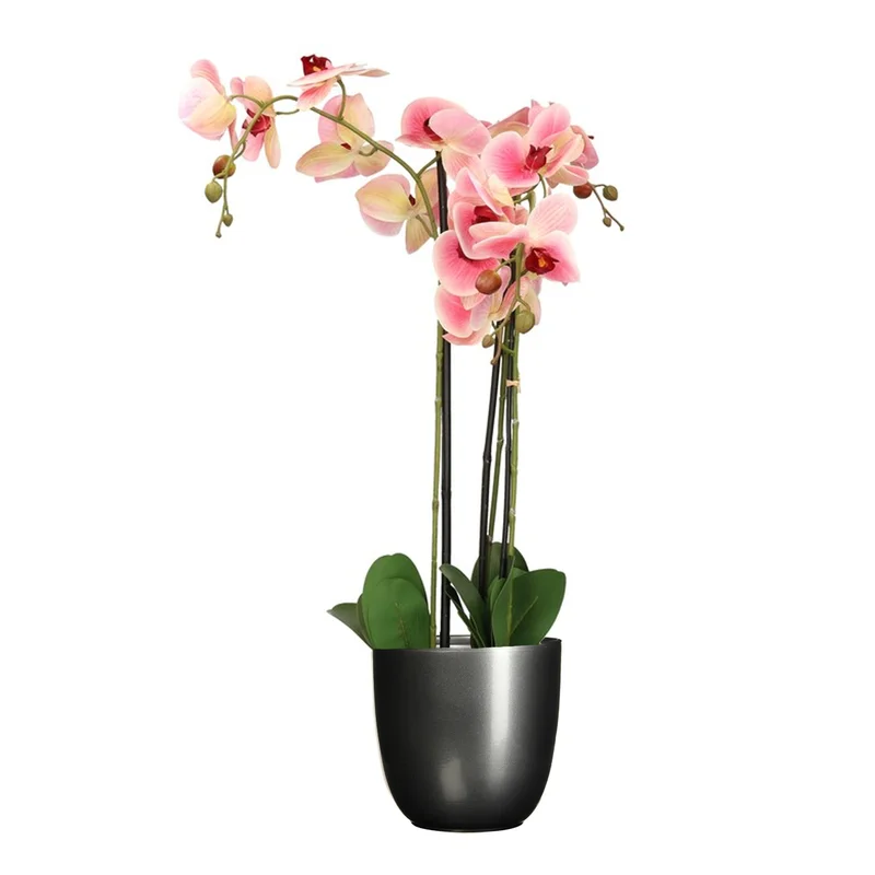 shoppartners-32602369