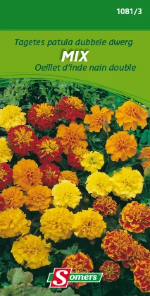 suprabazar-32726750