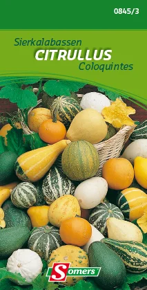suprabazar-32843953