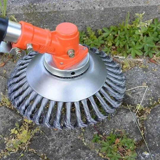 varenzo2480596