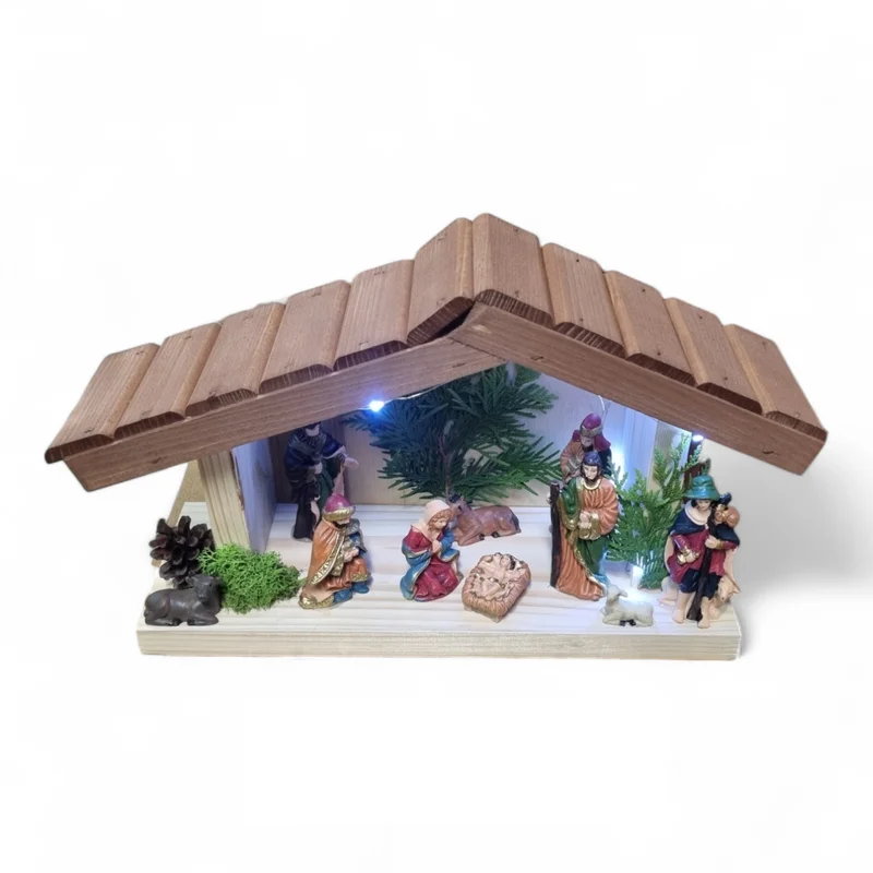 vikingchoice2363274