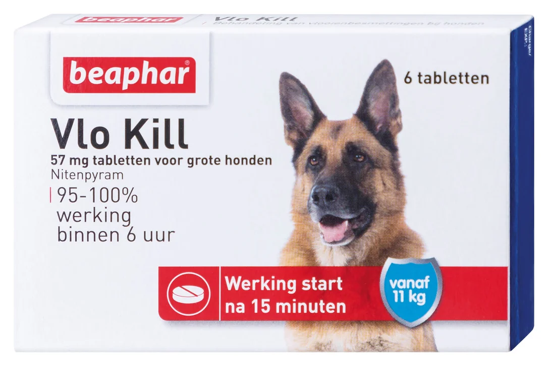 welkoop2775860
